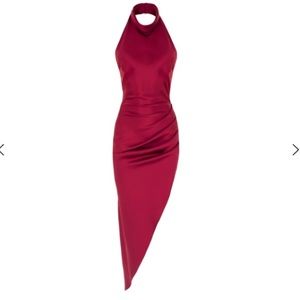 NEW W/ TAGS- Valentina in vin de Cerise Dress